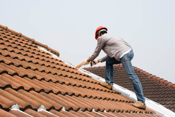 Best Sheet Metal Roofing  in Parker, TX