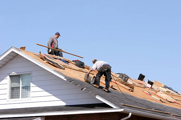 Best Asphalt Shingle Roofing  in Parker, TX